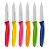 Ruffulon Stainless Steel Paring Knife With Serrated Blade, 6 Pieces