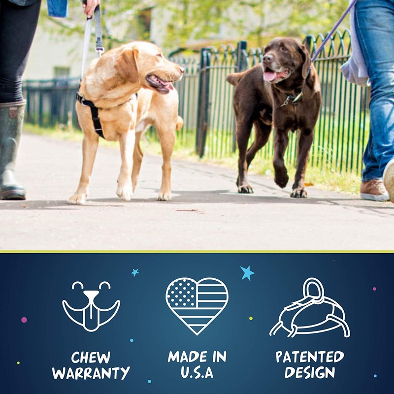 2 Hounds Design Freedom No Pull Dog Harness, Adjustable Harness