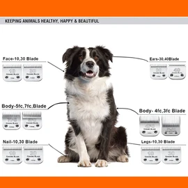 3 Pack 10 Blade Dog Grooming Blades Compatible with Andis Clippers/Oster A5/Wahl KM,Detachable Stainless Steel Blade,Size-10, 1/16-Inch Cut Length