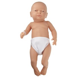 3B Scientific W17000 Newborn Male Baby Care Model, 19.7" Height