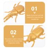 Totority 15pcs Golden Beetle Model Toys Fake Plastic Beetle Lifelike
