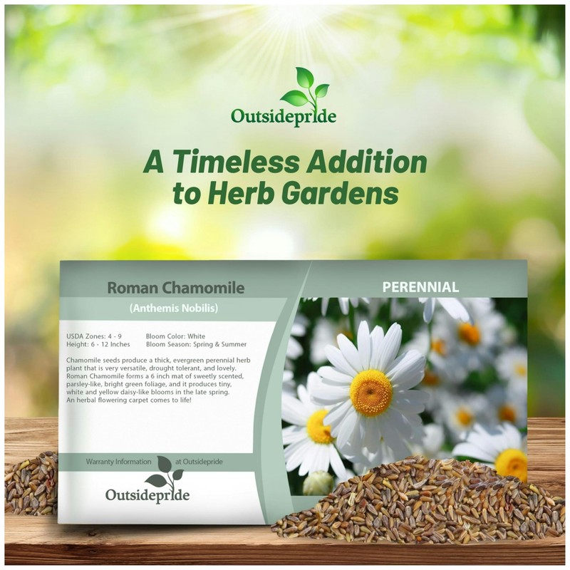 Outsidepride Roman Chamomile Seeds - 50000 Pcs Perennial, Drought Tolerant,