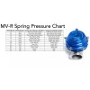Tial Genuine Tial Spring for MVS 38mm or MVR 44mm