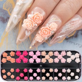 12 Grids Flower Nail Charm for Acrylic Nails Rose Flowers Nail Rhinestones Design Nails Jewelry and Gems DIY Manicure Decoration Supplies for Women and Girls Daily Accessories Kit