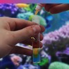 NT Labs Marine Lab Carbonate Hardness (KH) Test Kit, Marine
