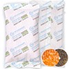 Wisesorb 200 Gram [10 Packs] Desiccant Packs, Indicating Silica Gel,