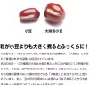 Bakubuy.com Hokuren Hokkaido Dainagon Azuki Red beans 250g 2PK Zenzai