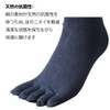 Hayashi SI909 Men's 5 Toe Silk Cotton, Military Feet, 3