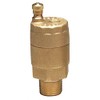 Automatic Air Vent Valve, 1 In, Brass