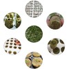 Belvanr Rock Wool Cultivation Pack of 50 Rock Wool Cubes,