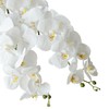 FagusHome - Flores artificiales de Phalaenopsis de 33 pulgadas, 6