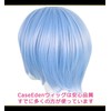 CaseEden WIG6080 Cosplay Wig, Full Wig, Heat Resistant, Short, Center