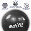 EDIFIT, Exercise Ball, 55, 65 and 75, Pezziball, Including Inflator,
