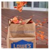 Lowe's 10-Pack LOWES Heavy Duty Large 30-Gallon Paper Outdoor Lawn
