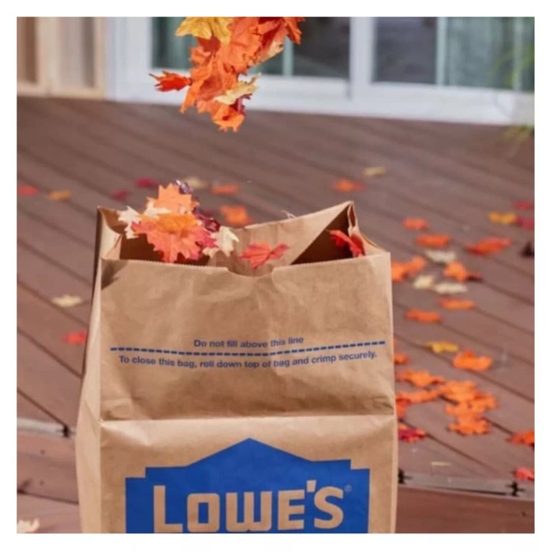 Lowe's 10-Pack LOWES Heavy Duty Large 30-Gallon Paper Outdoor Lawn