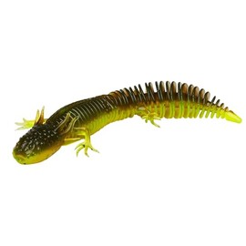 Savage Gear Ned Salamander – Hyper-Realistic 3” Salamander Profile for Bass Fishing, Salt & Scent Infused, Perfect for Predator & Gamefish in Freshwater & Saltwater Black/Blue 7.5 cm