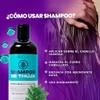 Shampoo Natural de Thuja y Árnica | Fortalece la Raíz,