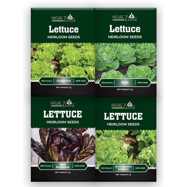 Lettuce Seeds for Planting, Red Romaine Lettuce, Bibb Butter Lettuce, Black Seeded Simpson, Green Ice Iceberg Lettuce, Non-GMO…