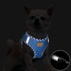 Aiminto Denim Dog Harness & Leash Set, Highly Breathable Mesh