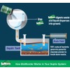 BioWonder Septic Tank Treatment - Prevent Backups & Reduce Odor