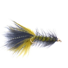 The Fly Fishing Place Bead Head Mini Crystal Woolly Bugger Classic Streamer Flies - Set of 12 Bass and Trout Fly Fishing Flies - Hook Size 8