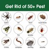 EcoSeem Insect & Pest Control Spray – Natural Essential -