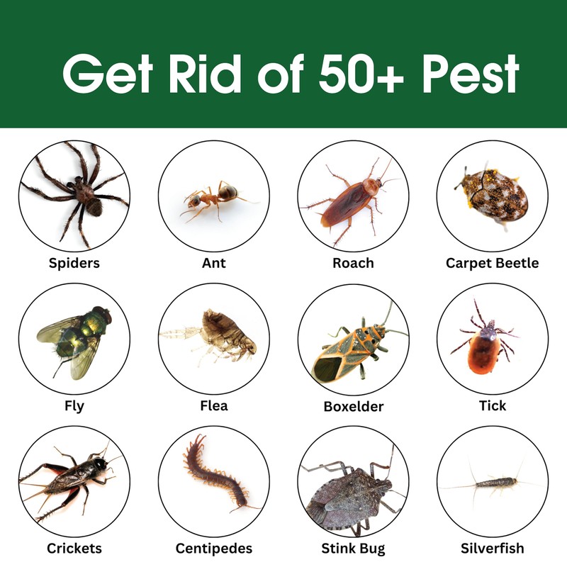 EcoSeem Insect & Pest Control Spray – Natural Essential -