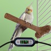 Heated Perches Bird Cage, Bird Heater Fast Heating Intelligent Temperature