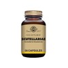 Solgar Scutellariae Vegetable Capsules - Pack of 50 - Fresh