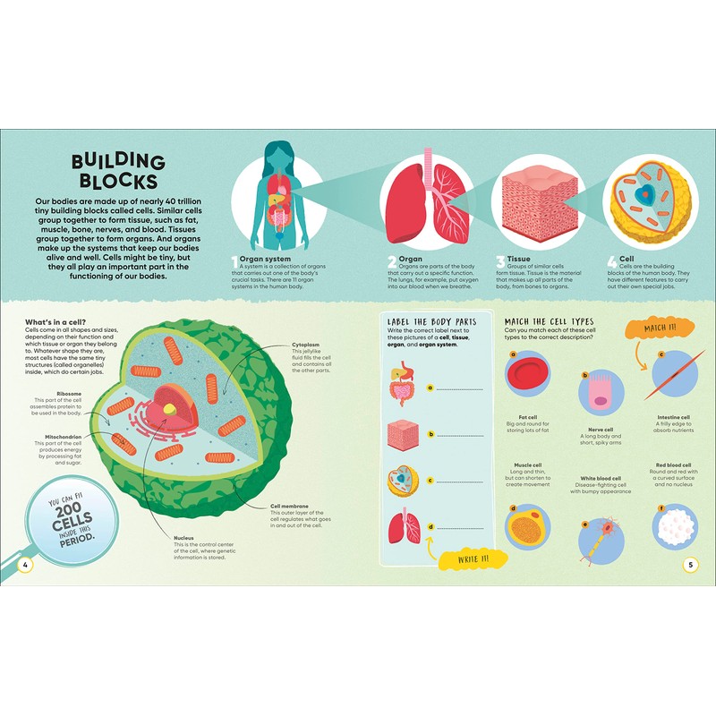 Active Learning! Human Body: More than 100 Brain-Boosting Activities that