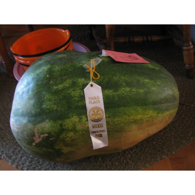 Unbranded Heirloom Melon & Squash Garden Collection-Org