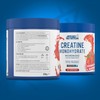 Applied Nutrition Creatine + Bullet Shaker 500ml | Creatine Monohydrate