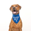 Birthday Boy with Cupcake Dog Pawdy (Party) Celebration Dog Bandana