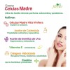 Joss Crema Células Madre Y Aceite De Semilla De Uva