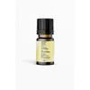 Nature's Basket Lemon Grass Essential Oil - 15 Ml