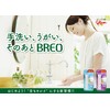 Ezaki Glico Co. Breo