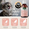 AniForte Salmon Oil for Cats 100 ml - Natural Fish