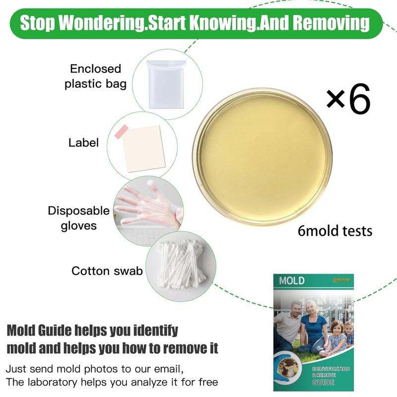 Mold Test Kit for Home Within 6 Individual Tests,DIY Detector
