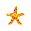 Outward Hound Floatiez Starfish Floating Dog Toy, Medium