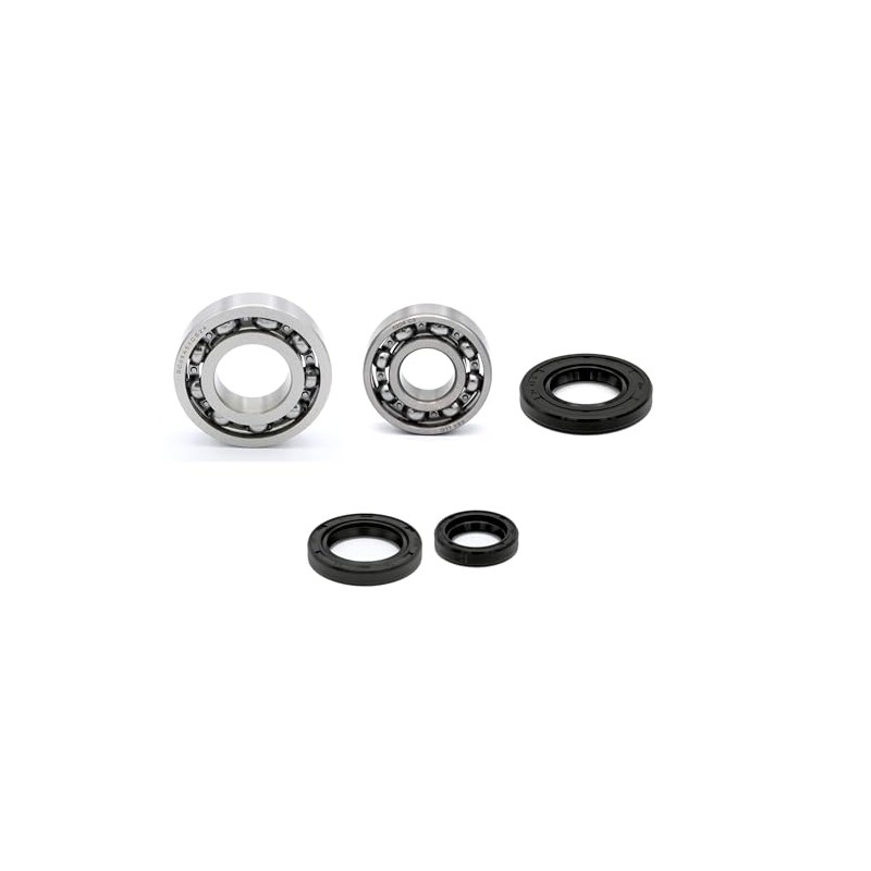 Parts and Parts Crankshaft Bearing Compatible with TGB Bullet RR