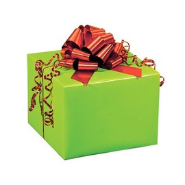 CITRUS LIME Recycled Gloss 24"x85'Solid Color Gift Wrap Cutter Box (2 unit, 1 pack per unit.)
