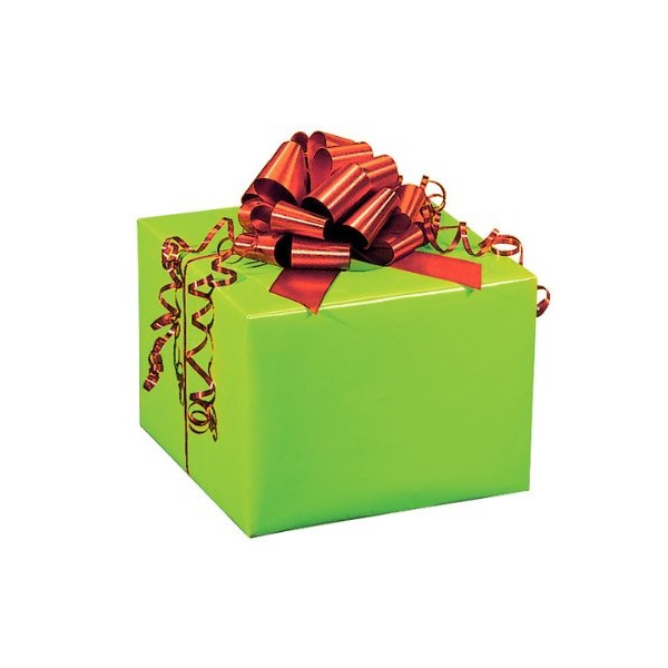 CITRUS LIME Recycled Gloss 24"x85'Solid Color Gift Wrap Cutter Box