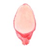 Flamingo Decorations Floating Flamingo Ornaments for Fish Pond Fish Tank