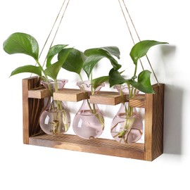 Plant Propagation Station Plant Terrarium Unique Birthday Gifts for Women Plant Lovers Home Office Decor Planter with Wooden Stand - 3 Bulb Glass Vase