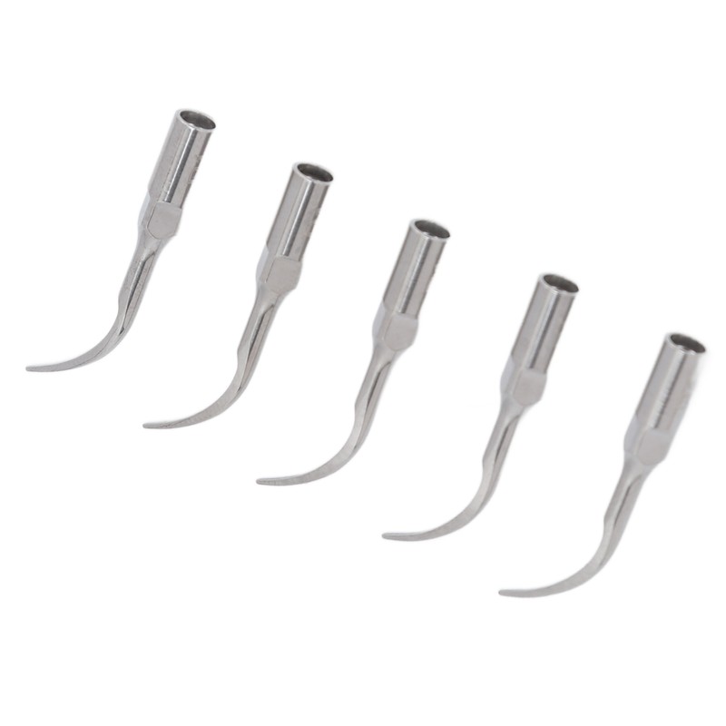 5pcs P1 Dental Clean Machine Tip Stainless Steel Heat Resistance