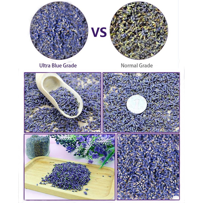 TooGet Fragrant Lavender Buds Natural Dried Lavender Flowers Wholesale, Ultra