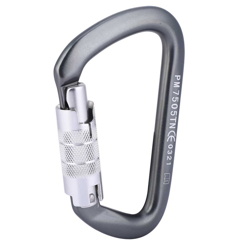 D Type Carabiner Rock Climbing Aviation Aluminum Outdoor Master Lock