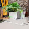 Operitacx 1 Set Acrylic Dry Erase Board and Advertisement Nails