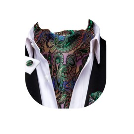 Dubulle Paisley Floral Ascot Tie for Men Self Tie Cravat and Pocket Square Cufflinks Wedding, Multicolor