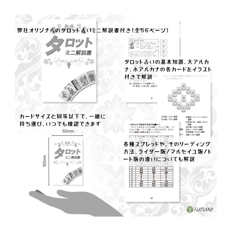 Hermetic Tarot Deck Tarot Divination with Japanese Manual (English Language